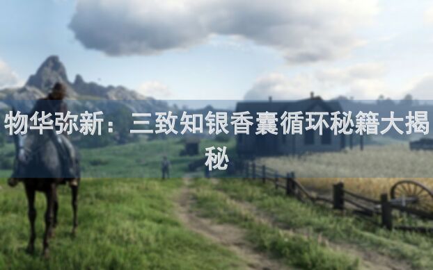 物华弥新：三致知银香囊循环秘籍大揭秘