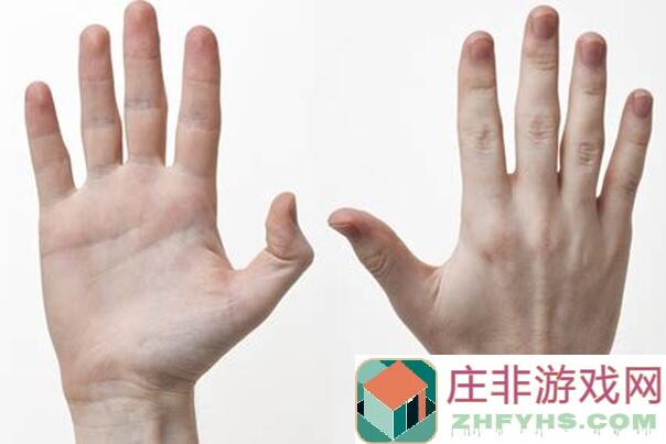 手把手教你和平精英苟分高手：独家苟分技巧！轻松吃鸡攻略大放送！
