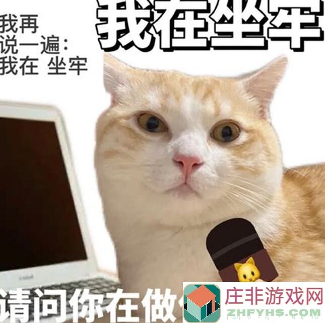 原神4.8版本萌新崩溃了？看完这份攻略秒变战神！