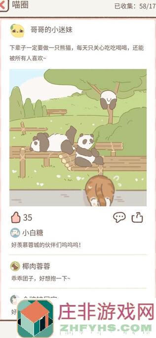 遇见你的猫全攻略：揭秘喵圈穿搭秘籍，秒变时尚大咖!