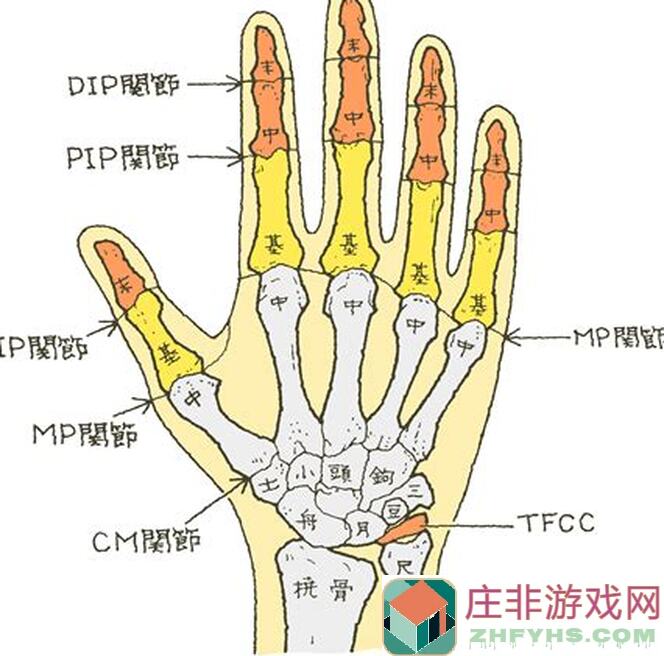 手把手教你速刷！汉家江湖易水寒铁道具攻略来了，让你轻松提升战力！