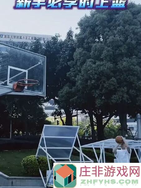 篮球经理新手必看！5天速成黄金运营心得大揭秘，惊喜策略让你一路通关！