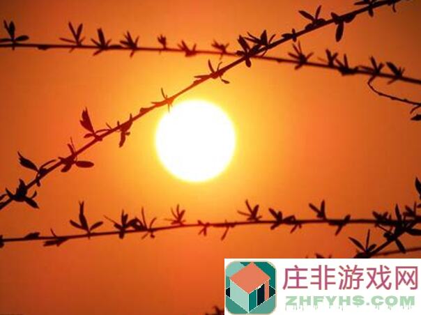 斗罗大陆魂师对决：神草幽梦活动深度解析！这些抽取材料，简直让我哭笑不得！