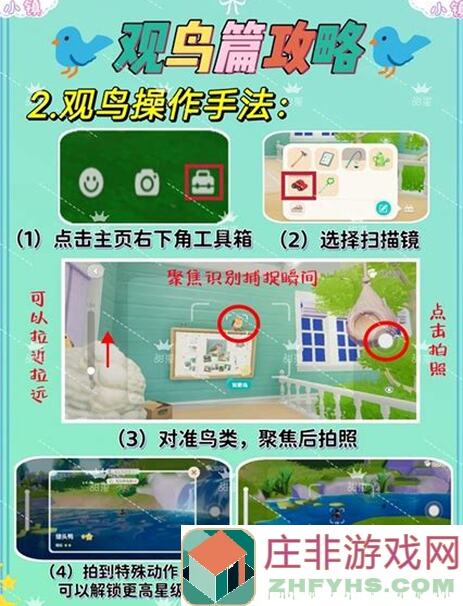 心动小镇拍鸟秘籍：解锁拍鸟技巧，让你的摄影之旅充满惊喜！