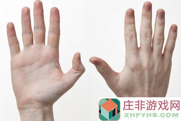 手慢无！五行师最全龙威教学，玩家秒变战神攻略指南！