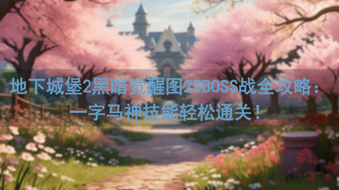 地下城堡2黑暗觉醒图25BOSS战全攻略：一字马神技能轻松通关！